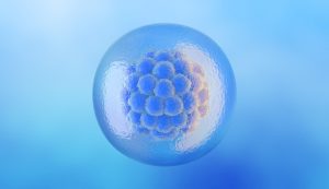 Embryo Donation