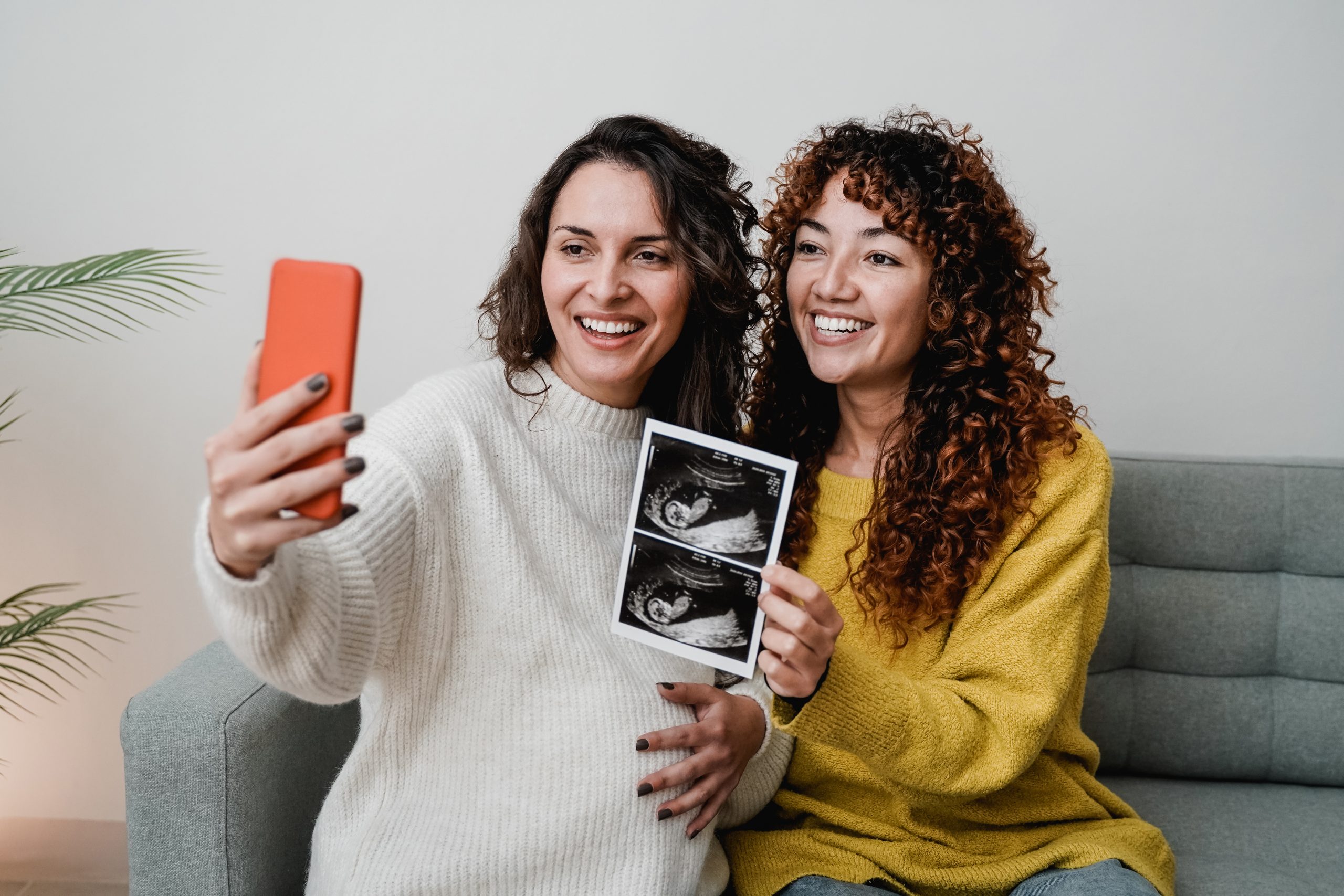 surrogacy