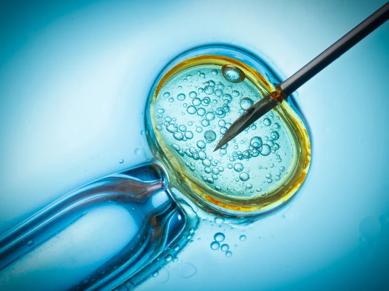 Advancements in IVF