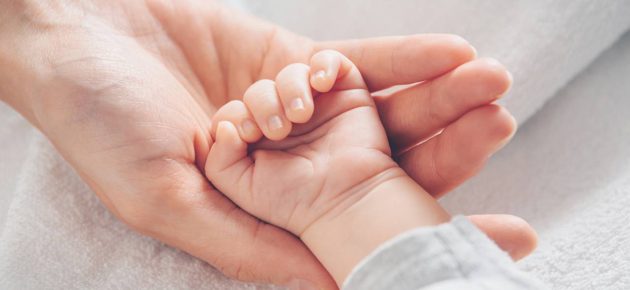 egg donation