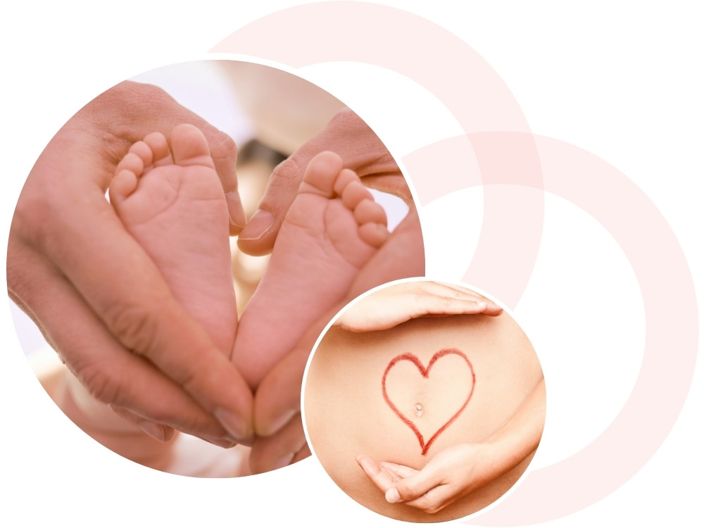 embryo donation