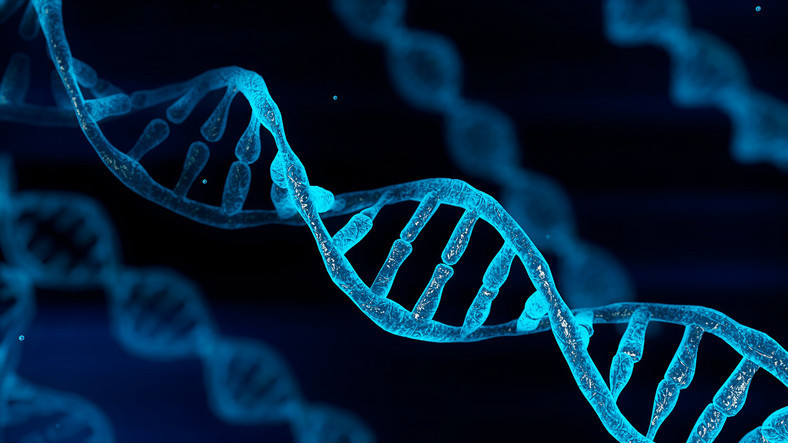 genetic factors