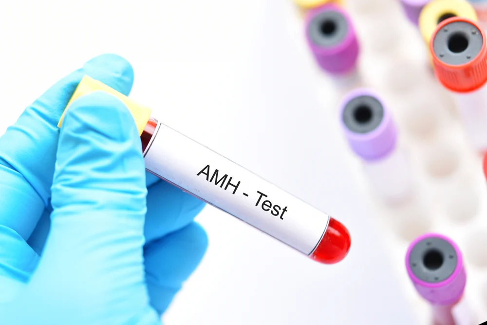 understanding amh