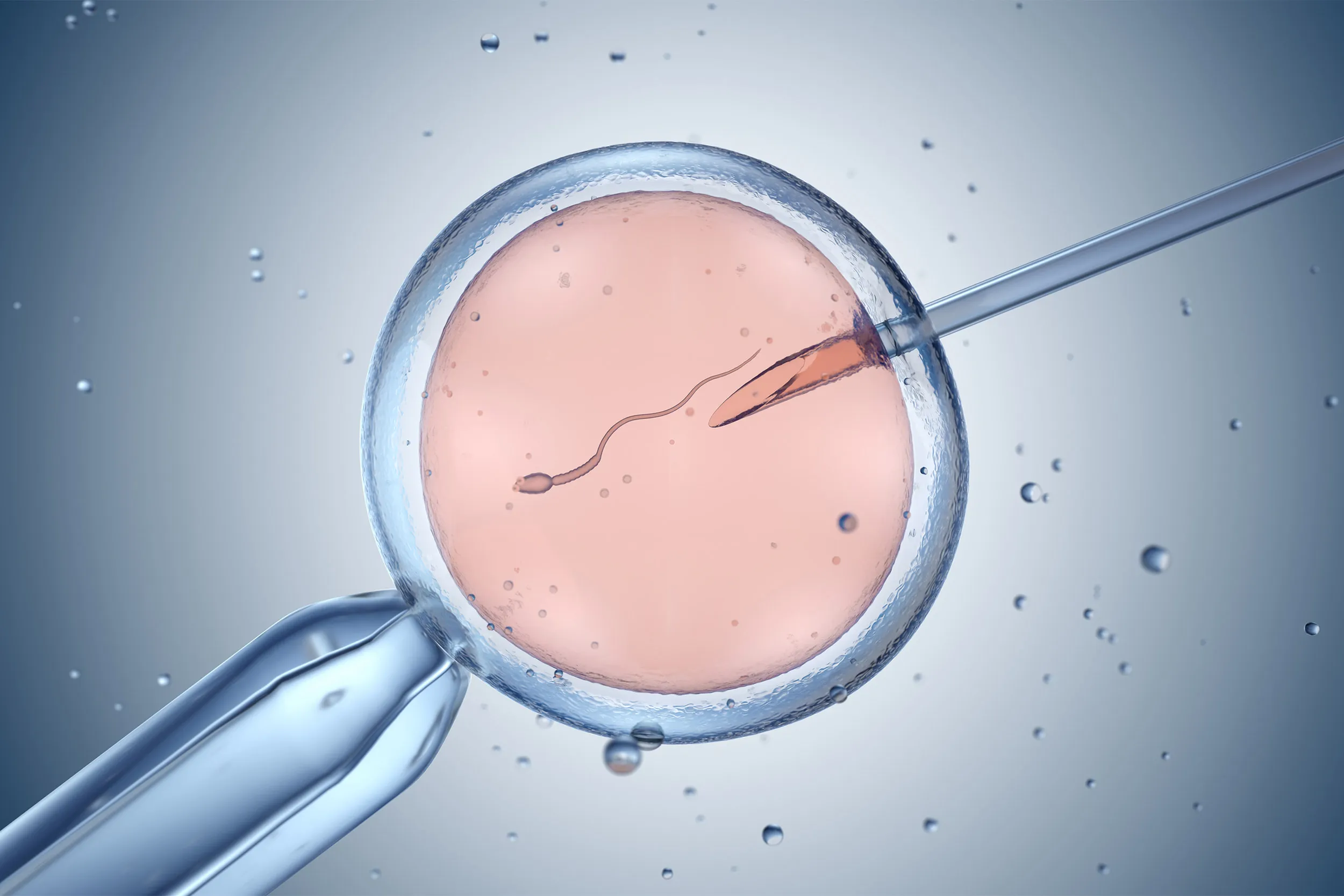 ivf and egg donation