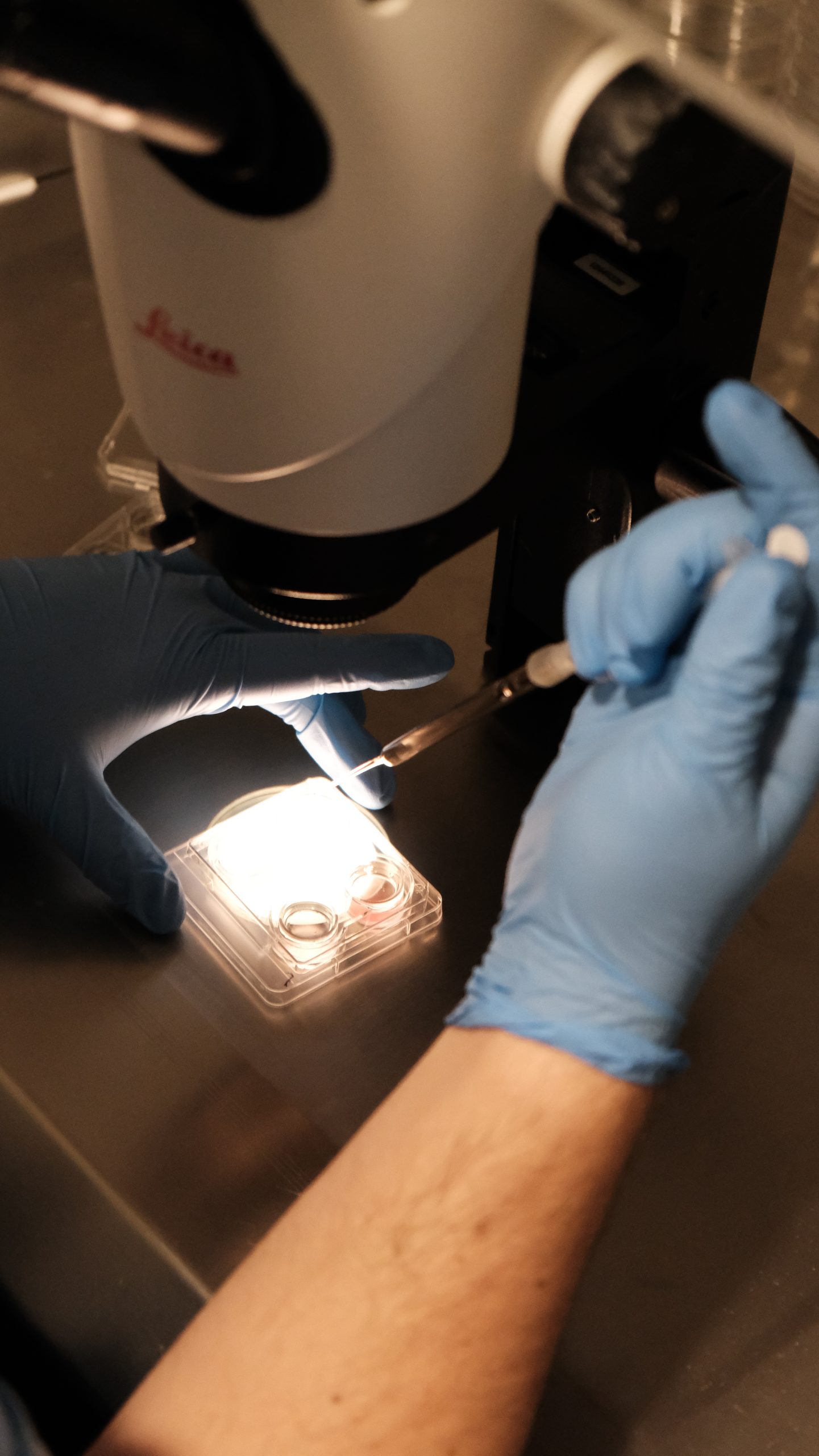 Advancements in IVF