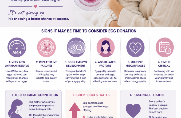 egg donation