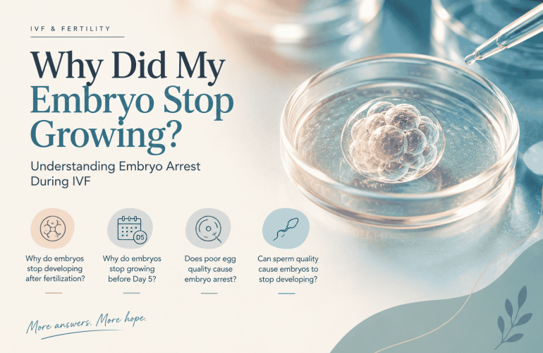 embryo arrest