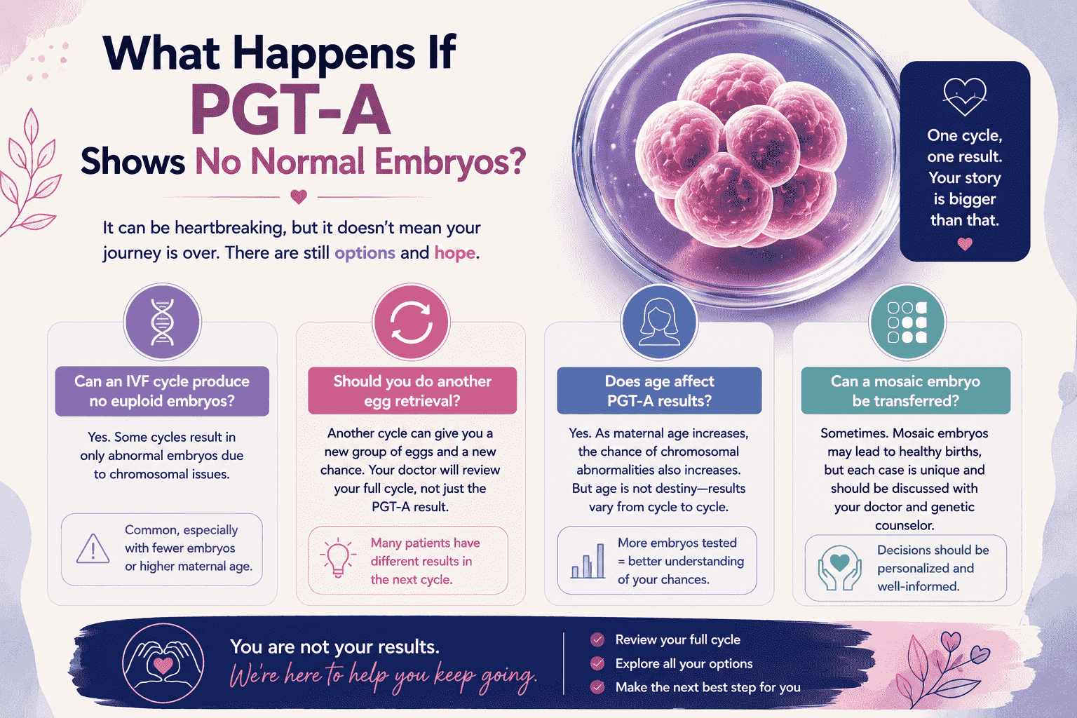 What Happens If PGT-A Shows No Normal Embryos? Understanding Your Next Options 2 no normal embryos